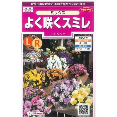 画像1: 花の種　よく咲くスミレ　ミックス　40粒　サカタのタネ（株）実咲350