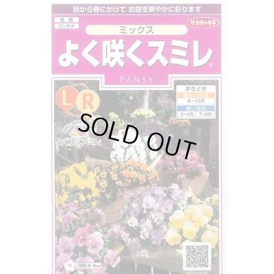 画像1: 花の種 よく咲くスミレ ミックス 40粒 (株)サカタのタネ 実咲350(026134)