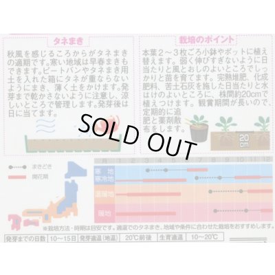 画像2: 送料無料　花の種　よく咲くスミレ　レモネード　40粒　(株)サカタのタネ　実咲350（101561）