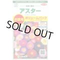 送料無料　花の種　アスター　松本混合　ボリュームパック　約558粒　(株)サカタのタネ　実咲500（026378）