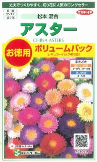 花の種　アスター　松本混合　ボリュームパック　約558粒　サカタのタネ（株）実咲500