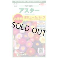送料無料　花の種　アスター　松本混合　ボリュームパック　約558粒　(株)サカタのタネ　実咲500（026378）