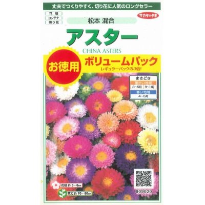 画像1: 花の種　アスター　松本混合　ボリュームパック　約558粒　サカタのタネ（株）実咲500