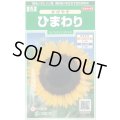 送料無料　花の種　ひまわり　かがやき　約14粒　(株)サカタのタネ　実咲250（026273）
