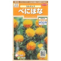 花の種　べにばな　カルタムス　約22粒　サカタのタネ（株）実咲200