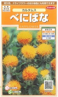 花の種　べにばな　カルタムス　約22粒　サカタのタネ（株）実咲200