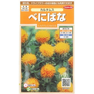 画像1: 花の種　べにばな　カルタムス　約22粒　サカタのタネ（株）実咲200