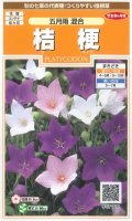 送料無料　花の種　桔梗　五月雨混合　約167粒　(株)サカタのタネ　実咲200（026315）