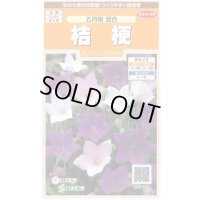 送料無料　花の種　桔梗　五月雨混合　約167粒　(株)サカタのタネ　実咲200（026315）