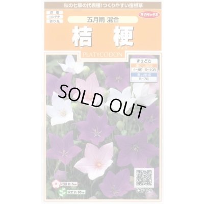画像1: 花の種 桔梗 五月雨混合 約167粒 (株)サカタのタネ 実咲200（026315）