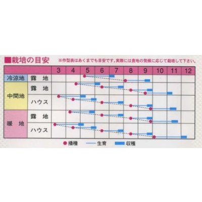 画像2: [中国野菜]　チンゲンサイ　　ニイハオ新１号　　750粒　渡辺農事