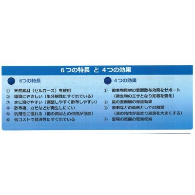 画像2: 植物コーティング剤　64never　300g