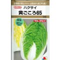 送料無料　[白菜]　黄ごころ65　5ml　タキイ種苗(株)