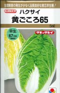 送料無料　[白菜]　黄ごころ65　5ml　タキイ種苗(株)