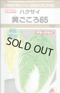 送料無料　[白菜]　黄ごころ65　5ml　タキイ種苗(株)