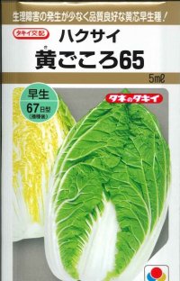 送料無料　[白菜]　黄ごころ65　5ml　タキイ種苗(株)