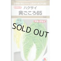 [白菜]　黄ごころ65　5ml　タキイ種苗（株）