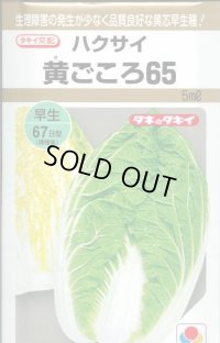 [白菜]　黄ごころ65　5ml　タキイ種苗（株）