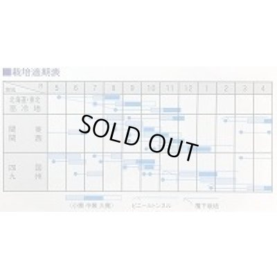 画像2: 送料無料　[かぶ]　白駒蕪　4ml　大和農園