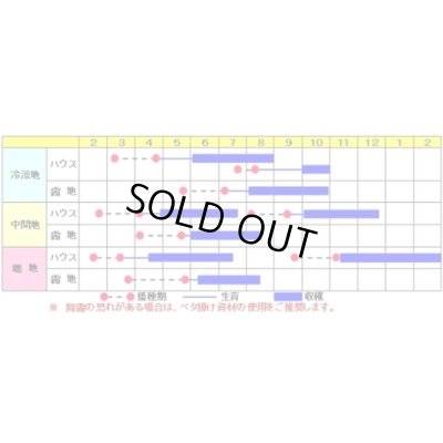 画像2: 送料無料　[いんげん]　シュガグリーン　1dl　渡辺農事（株）