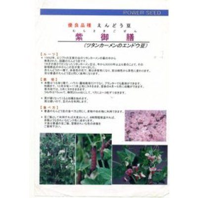 画像3: 送料無料　[えんどう]　紫御膳　10ml　(株)タカヤマシード