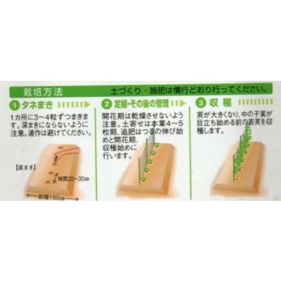 画像2: 送料無料　[えんどう]　成駒三十日　18ml　(およそ60粒)　タキイ種苗(株)　GF