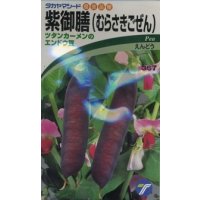 送料無料　[えんどう]　紫御膳　10ml　(株)タカヤマシード