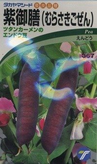 送料無料　[えんどう]　紫御膳　10ml　(株)タカヤマシード