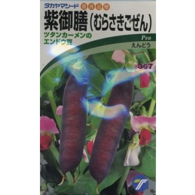 画像1: 送料無料　[えんどう]　紫御膳　10ml　(株)タカヤマシード