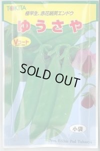 送料無料　[豆類]　ゆうさや　30ml　トキタ種苗(株)
