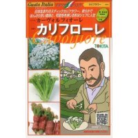 [イタリア野菜]　カリフローレ　50粒　 トキタ種苗
