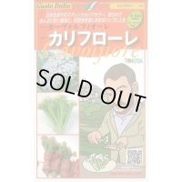 [イタリア野菜] カリフローレ 50粒 トキタ種苗(株)