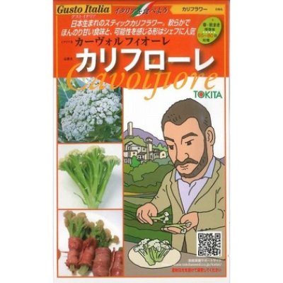 画像1: [イタリア野菜]　カリフローレ　50粒　 トキタ種苗（株）