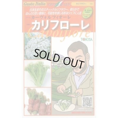 画像1: [イタリア野菜] カリフローレ 50粒 トキタ種苗(株)