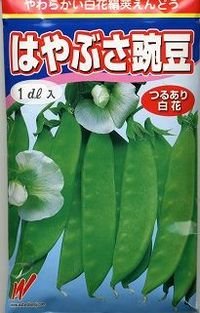 送料無料　[えんどう]　はやぶさ　(きぬさや)　25ml　渡辺農事（株）