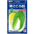 送料無料　[白菜]　黄ごころ85　20ml　タキイ種苗(株)