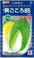送料無料　[白菜]　黄ごころ85　20ml　タキイ種苗(株)