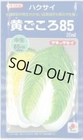 送料無料　[白菜]　黄ごころ85　20ml　タキイ種苗(株)