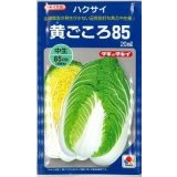 送料無料　[白菜]　黄ごころ85　20ml　タキイ種苗(株)