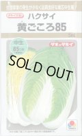 送料無料　[白菜]　黄ごころ85　5ml　タキイ種苗(株)