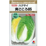 送料無料　[白菜]　黄ごころ85　5ml　タキイ種苗(株)