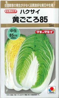 送料無料　[白菜]　黄ごころ85　5ml　タキイ種苗(株)