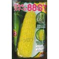 [とうもろこし]　ミルキースイーツ88ST　2000粒　トキタ種苗(株)