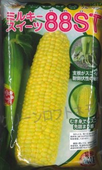 [とうもろこし]　ミルキースイーツ88ST　2000粒　トキタ種苗(株)