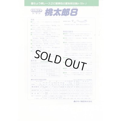 画像4: 送料無料　[トマト/桃太郎系]　桃太郎8　1000粒　貴種(コートしてません)　タキイ種苗(株)