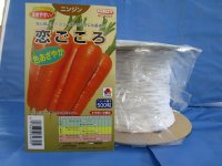 [シーダー種子]　にんじん　恋ごころ　　1粒×8cm間隔