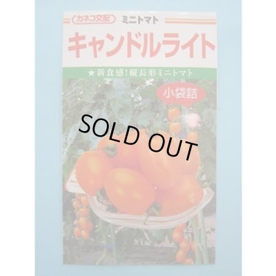 画像1: 送料無料　[トマト/ミニトマト]　キャンドルライト　1000粒　カネコ種苗（株）