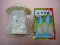 [シーダー種子]　大根　ころっ娘　1粒×25cm×200m