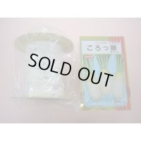 [シーダー種子]　大根　ころっ娘　1粒×25cm×200m