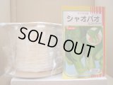[シーダー種子]　ミニチンゲンサイ　シャオパオ　1粒×5cm間隔